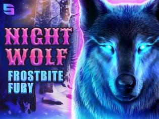 Night Wolf - Frostbite Fury game cover